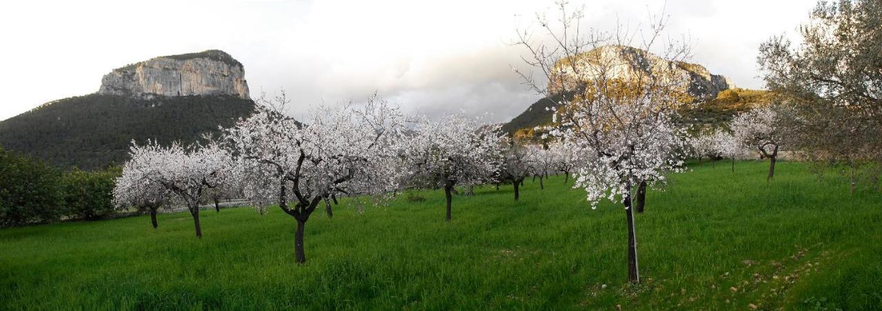 Alaro Natura Rural Suites Zewnętrze zdjęcie